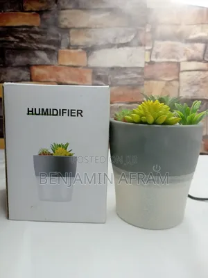 Room Plant Humidifier