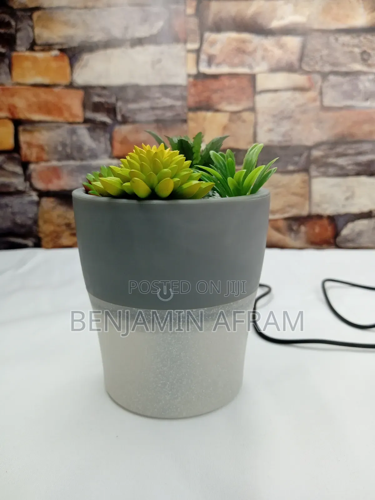 Plant Diffuser