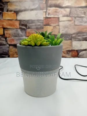 Plant Diffuser