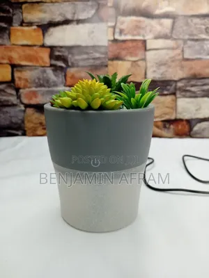 Plant Diffuser