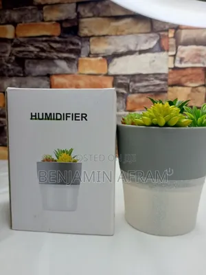 Diy Plant Air Fresher