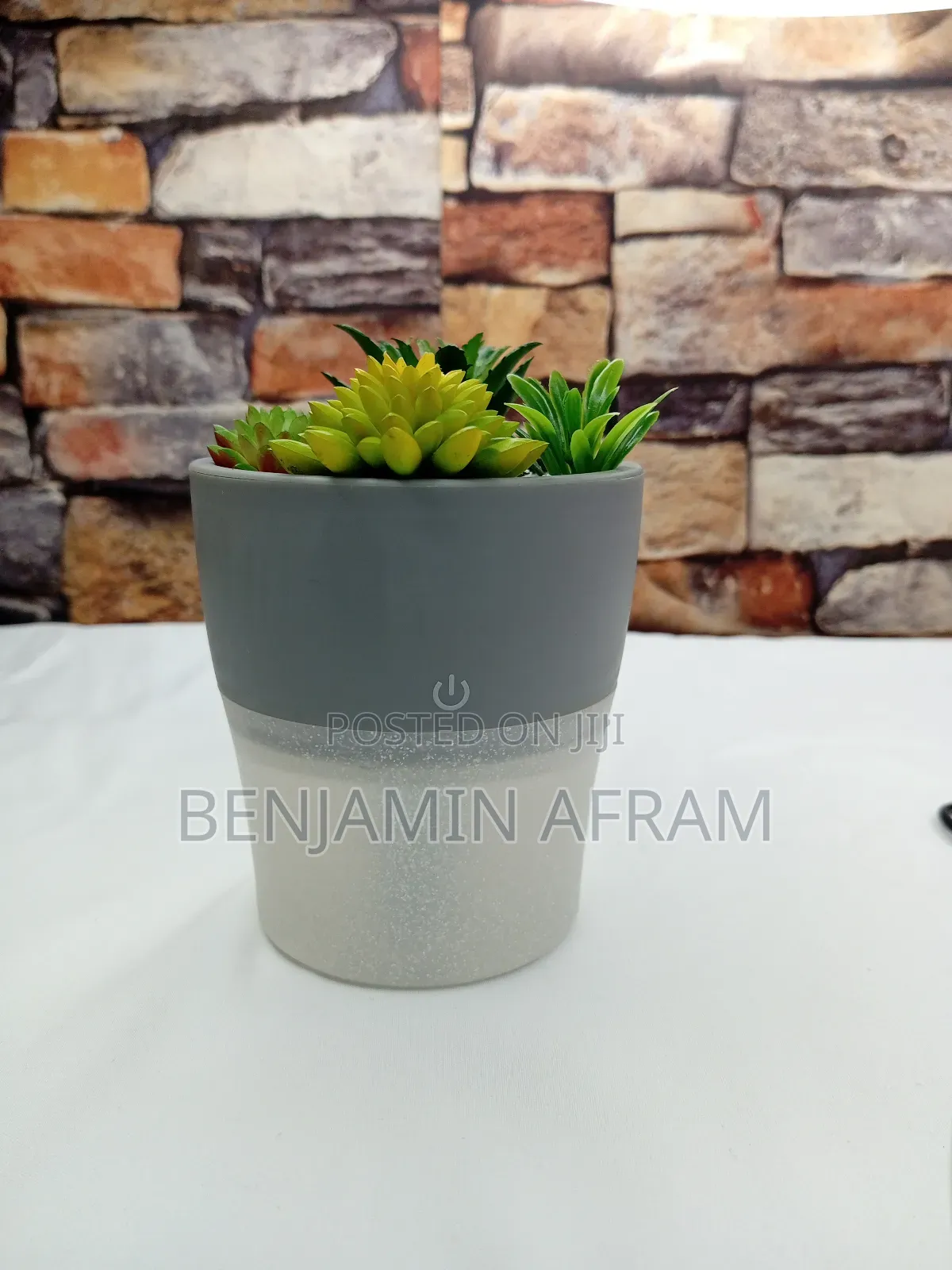 Electric Air Fresher Plant Hum