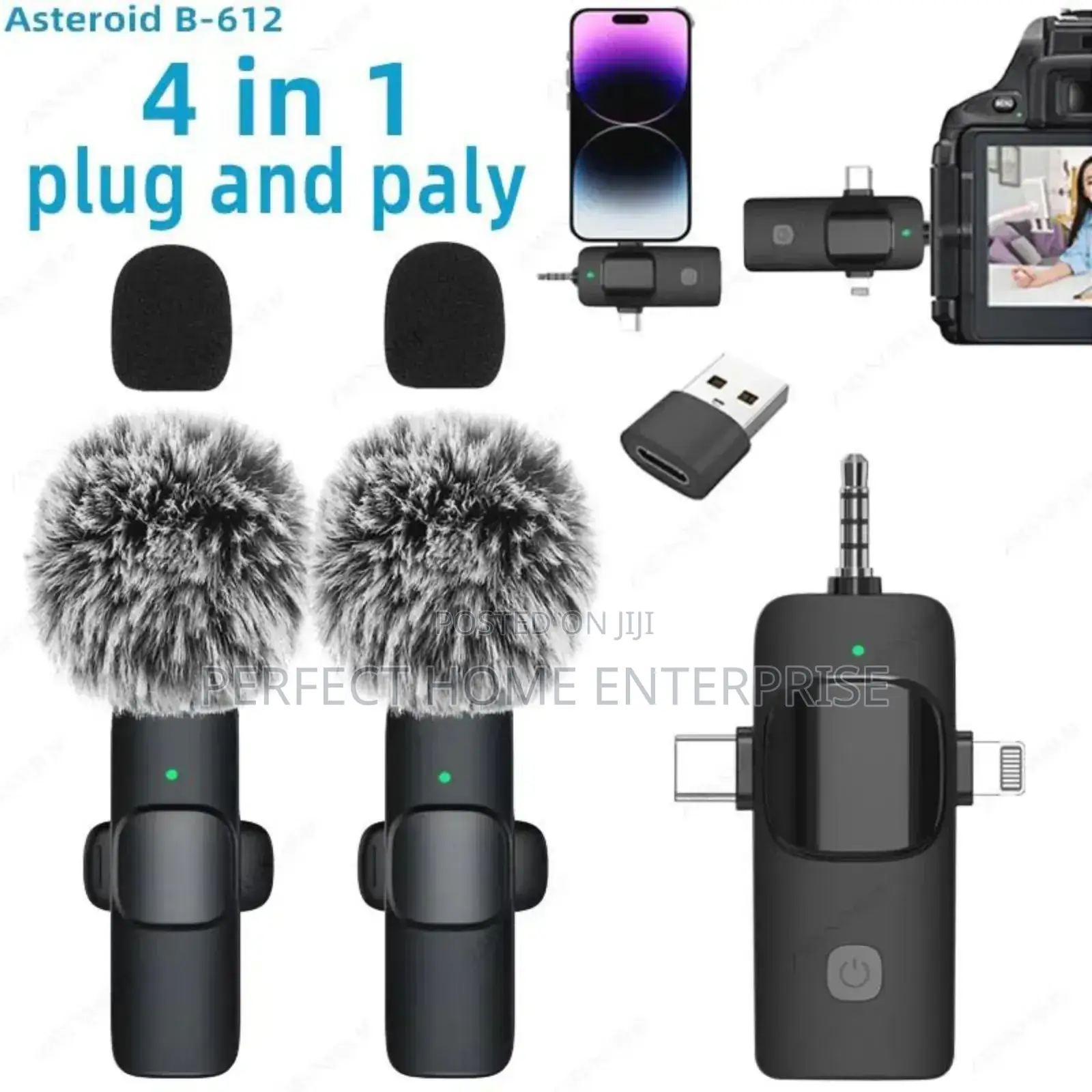 Wireless Microphone