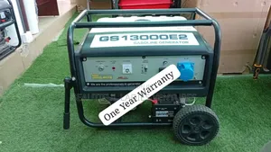 Gasoline Key Start 230 Volts Generator