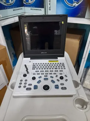 Ultrasound Laptop Type