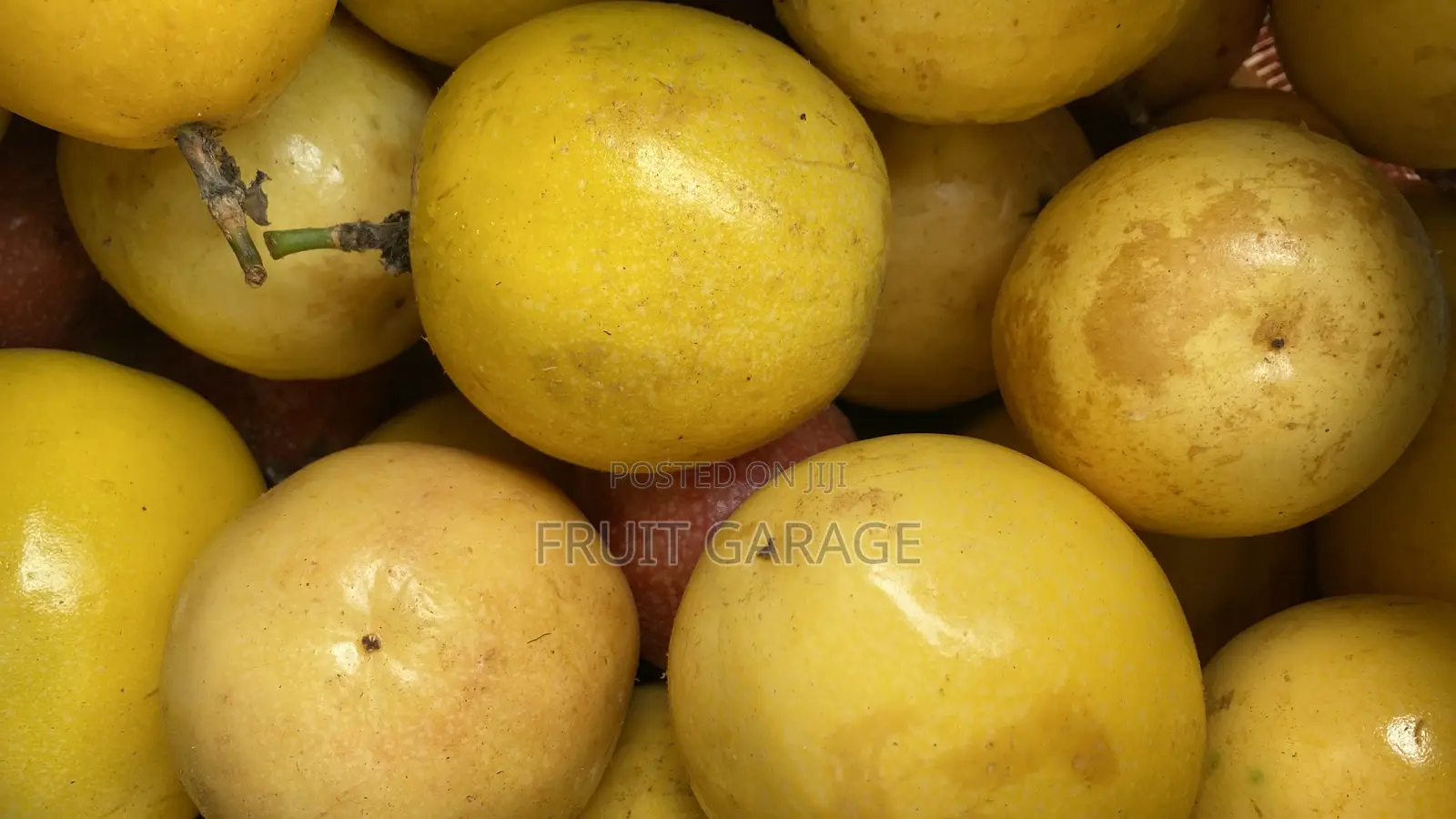 Fruit Garage Passion Fruit