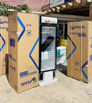 Silent Chilling Pearl PVC 424 Electric Beverage Cooler.