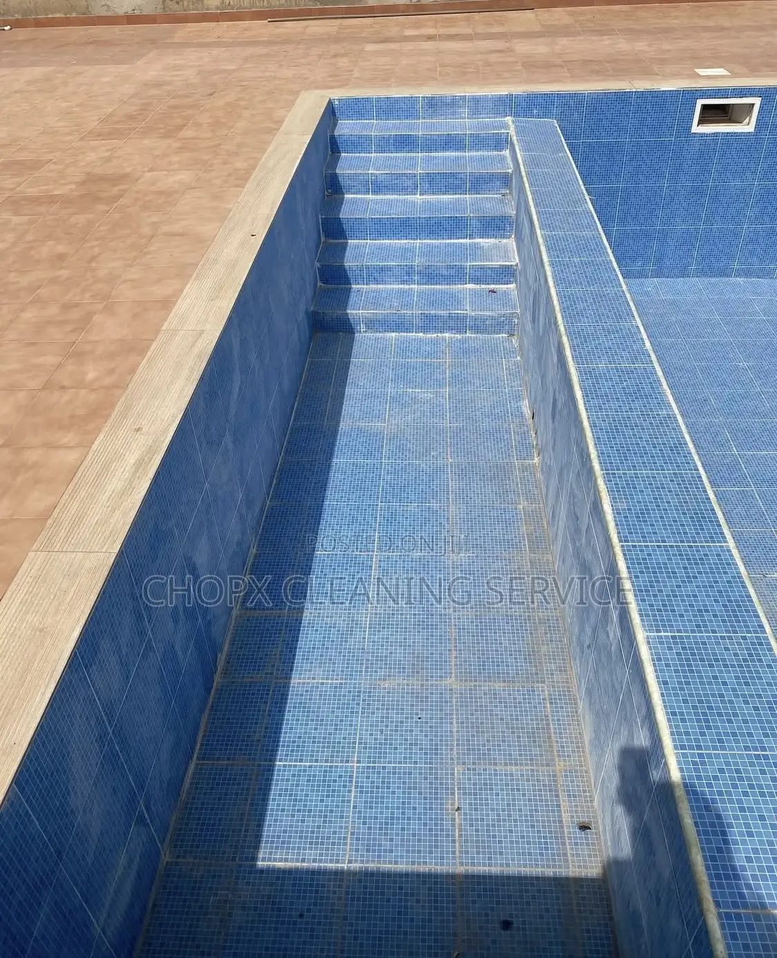 Pool Cleaning