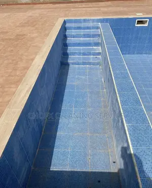 Pool Cleaning