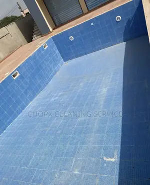 Pool Cleaning