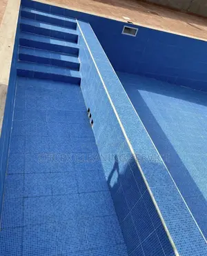Pool Cleaning