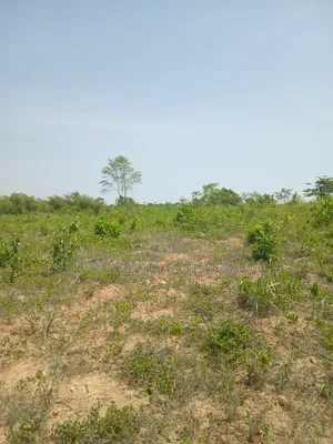 Estate Land for Sale at Amasaman Obom Ashifla