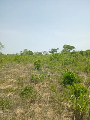 Estate Land for Sale at Amasaman Obom Ashifla