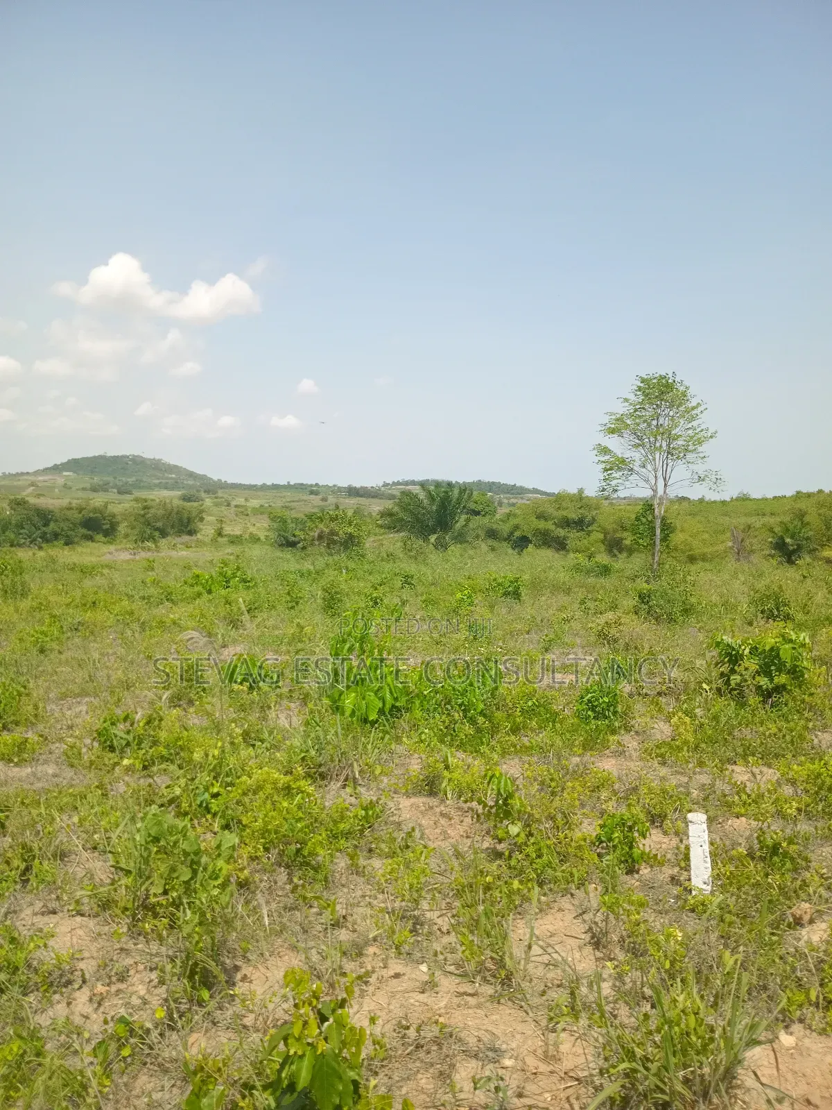 Estate Land for Sale at Amasaman Obom Ashifla