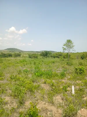 Estate Land for Sale at Amasaman Obom Ashifla