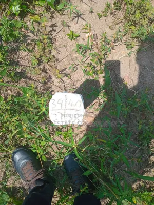 Estate Land for Sale at Amasaman Obom Ashifla