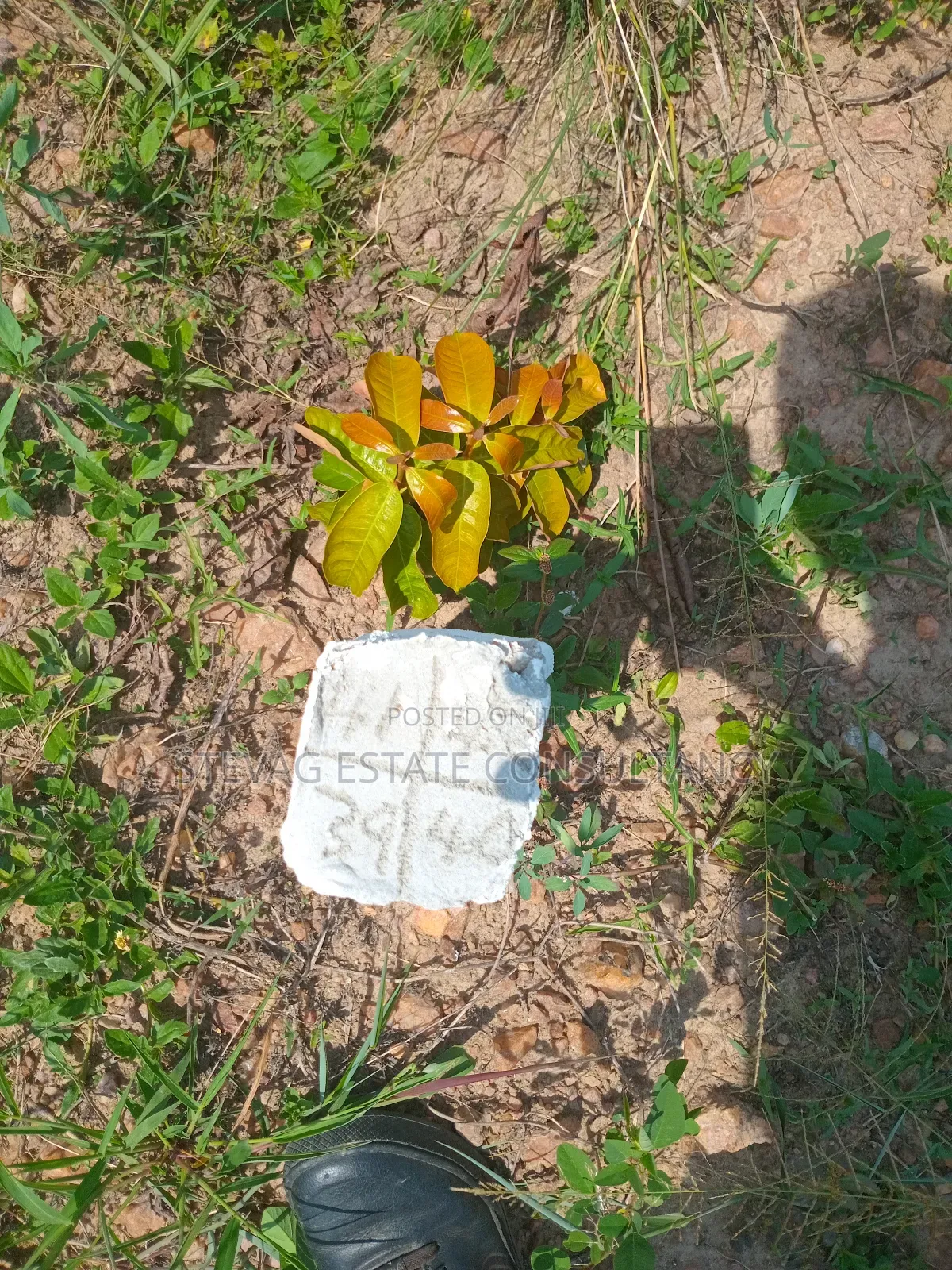 Estate Land for Sale at Amasaman Obom Ashifla