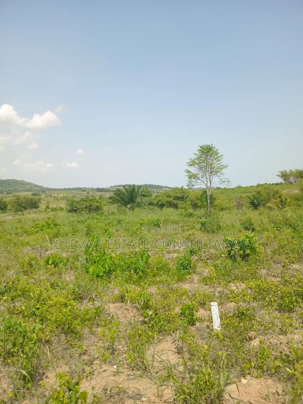 Estate Land for Sale at Amasaman Obom Ashifla