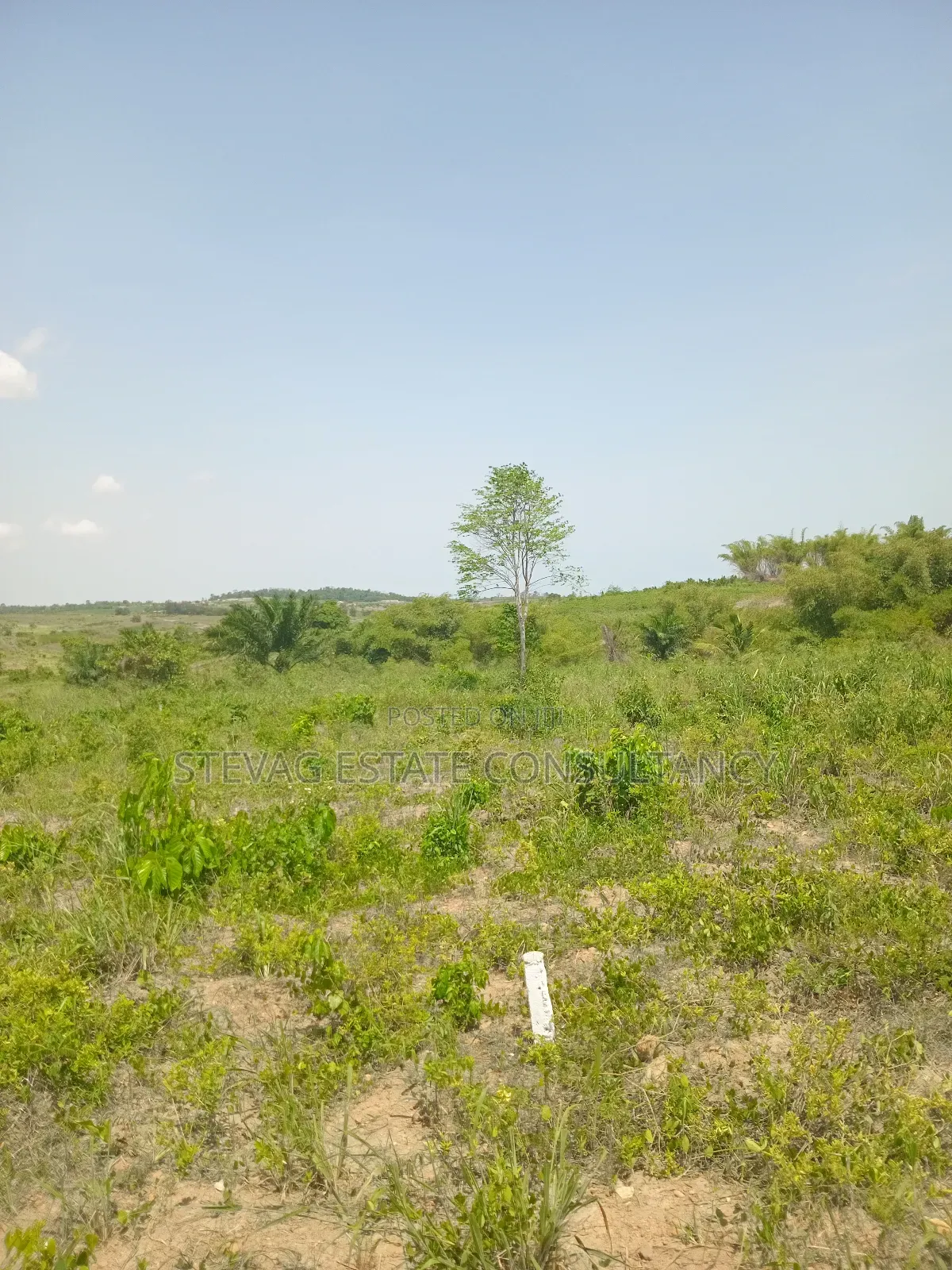 Estate Land for Sale at Amasaman Obom Ashifla