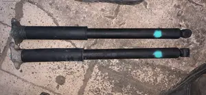 Ford Focus 2011-2015 Back Shock Absorbers