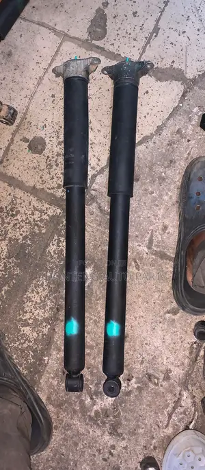 Ford Focus 2011-2015 Back Shock Absorbers