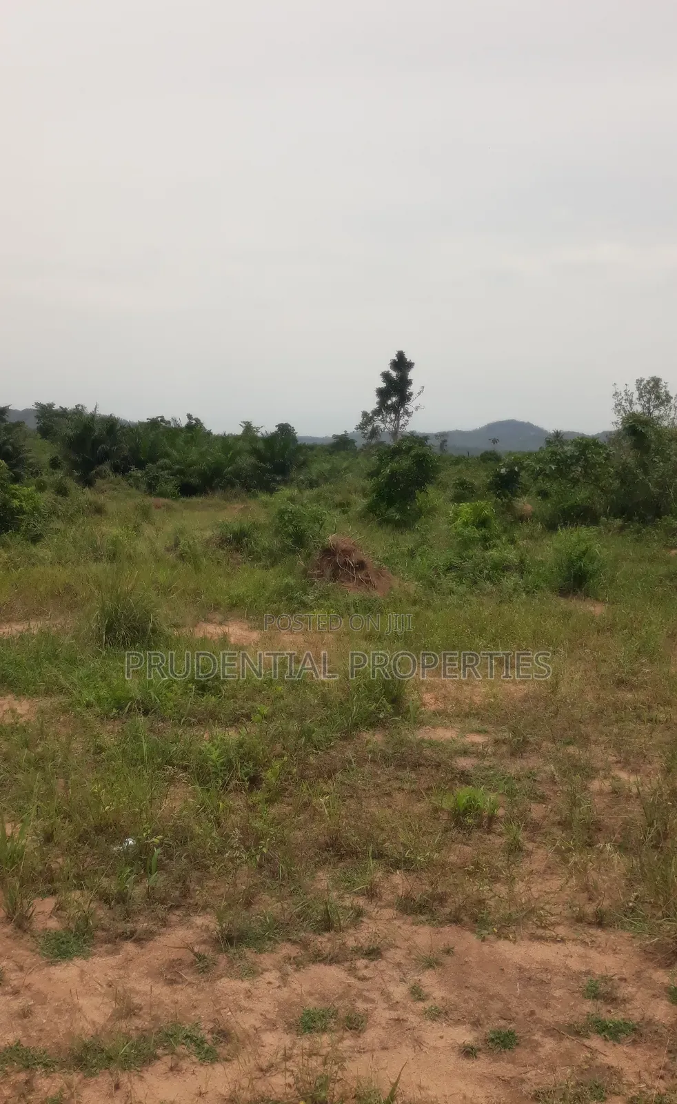 500 Acre Farmland for Sale at Adeiso