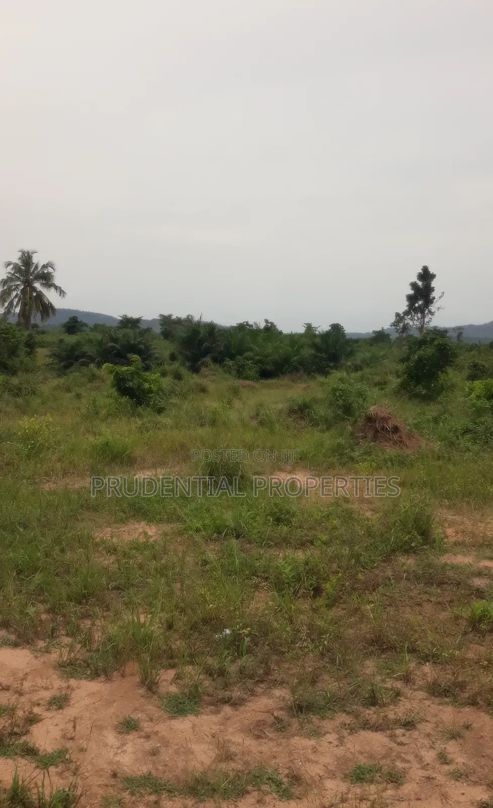 500 Acre Farmland for Sale at Adeiso