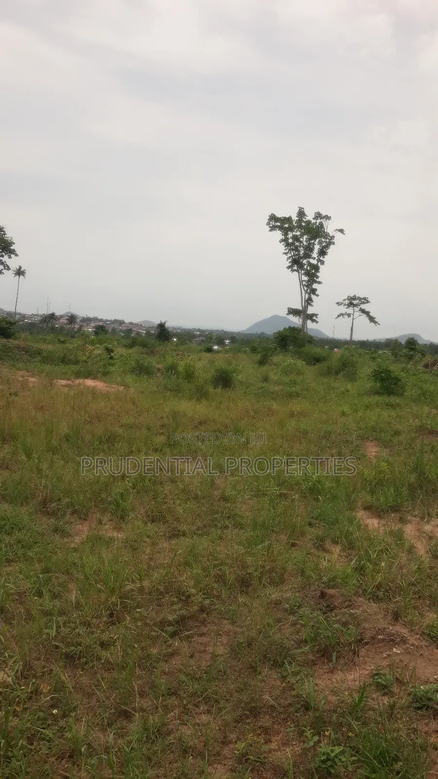 500 Acre Farmland for Sale at Adeiso
