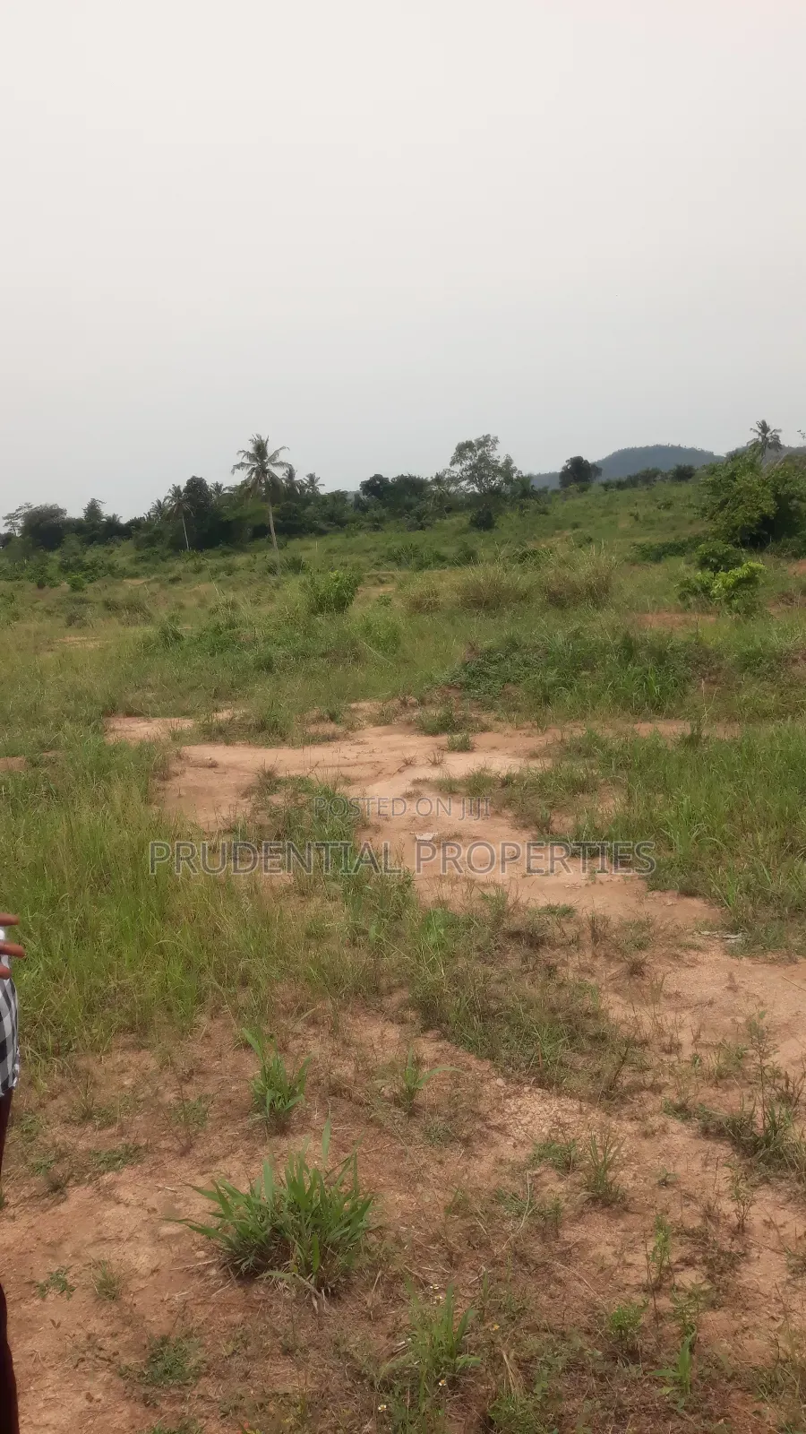 500 Acre Farmland for Sale at Adeiso