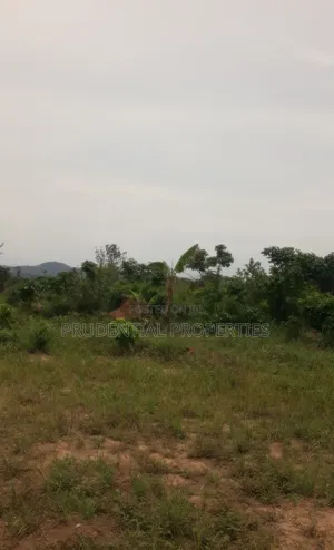500 Acre Farmland for Sale at Adeiso