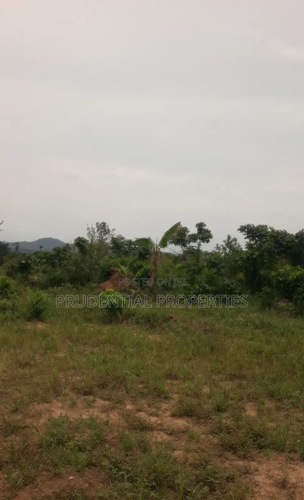 500 Acre Farmland for Sale at Adeiso