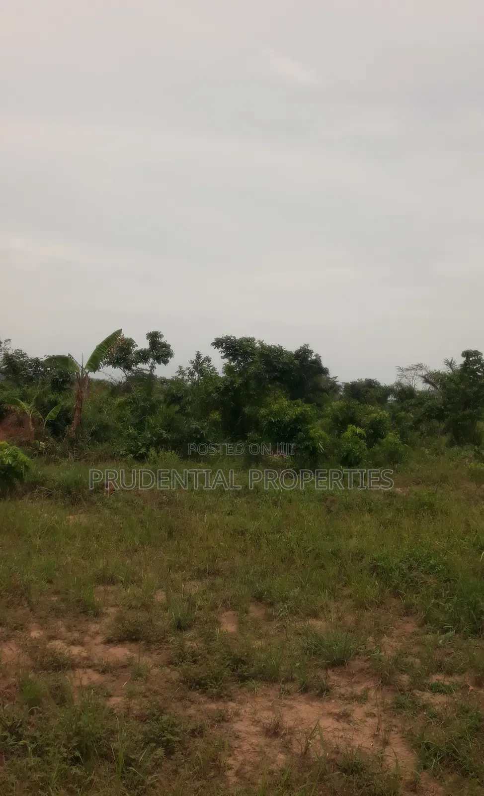 500 Acre Farmland for Sale at Adeiso