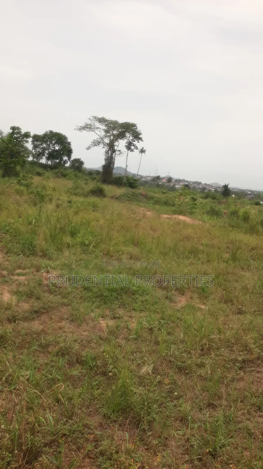 500 Acre Farmland for Sale at Adeiso
