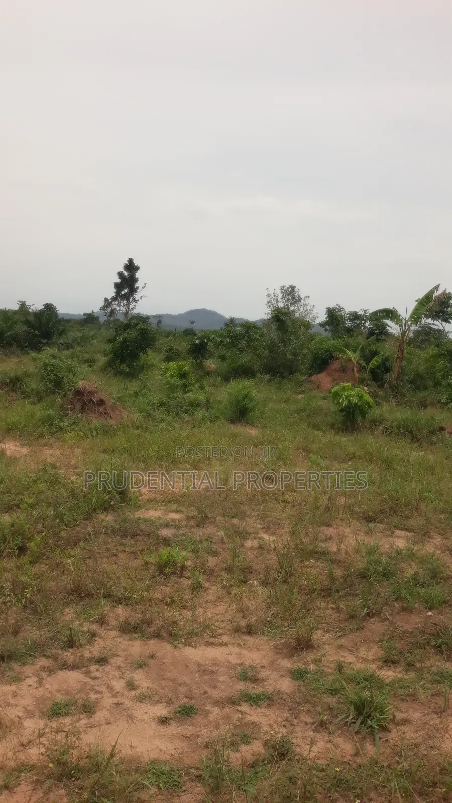 500 Acre Farmland for Sale at Adeiso