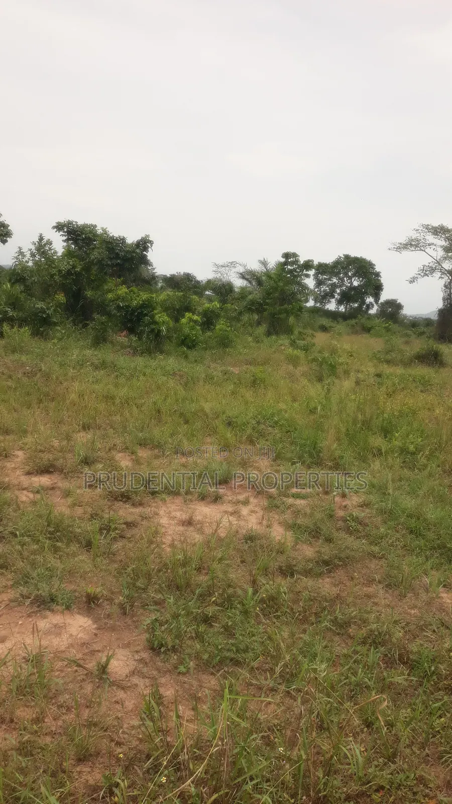 500 Acre Farmland for Sale at Adeiso