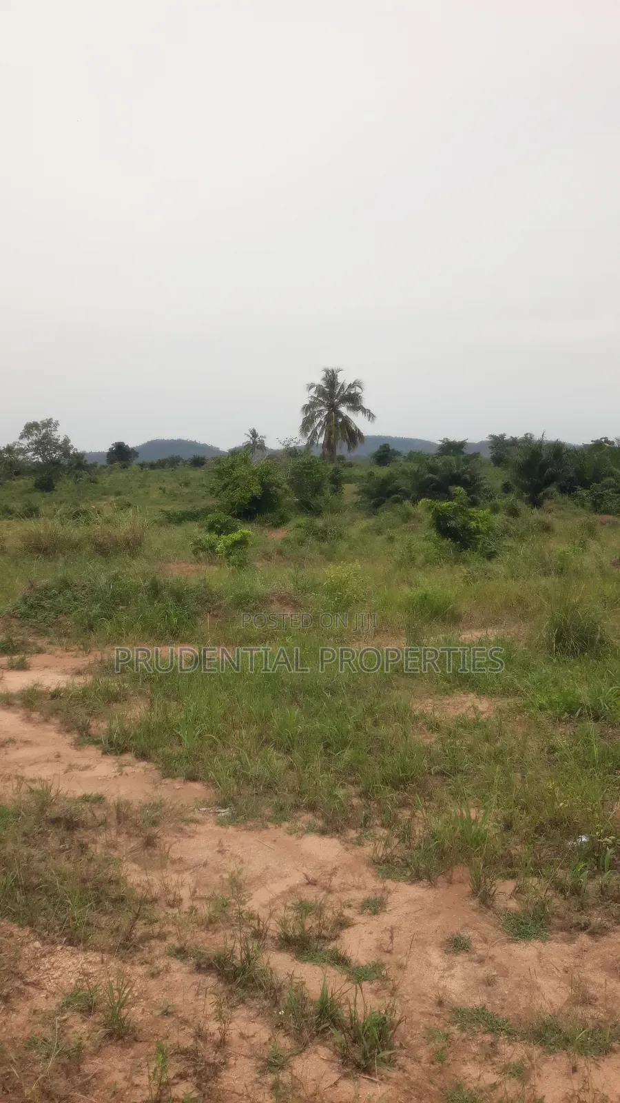 500 Acre Farmland for Sale at Adeiso