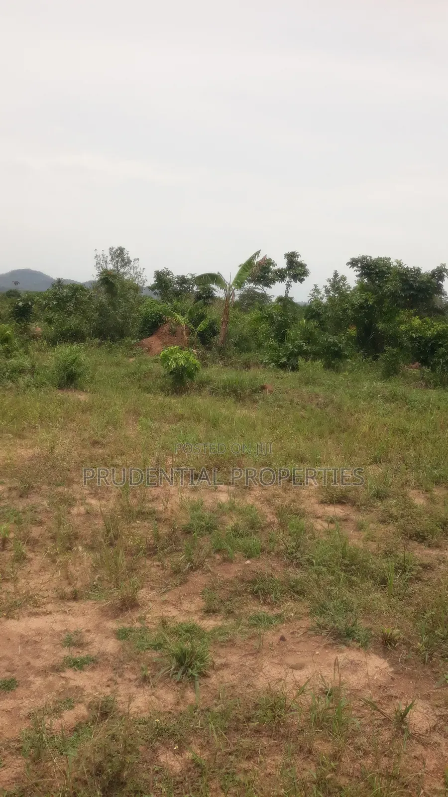 500 Acre Farmland for Sale at Adeiso