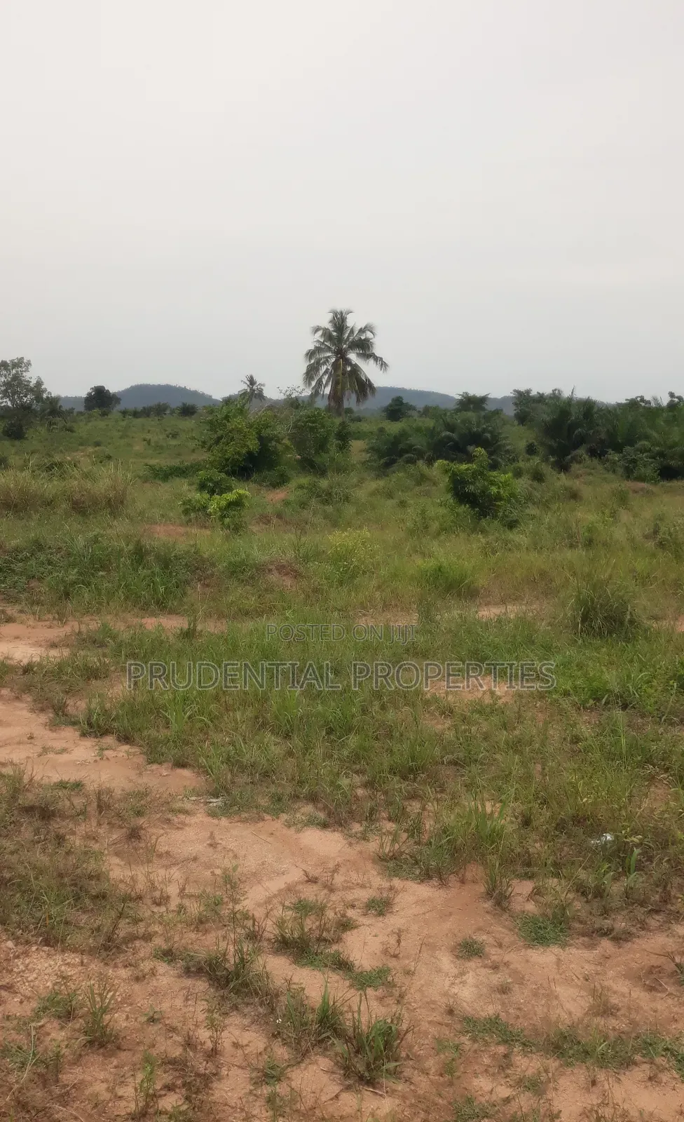 500 Acre Farmland for Sale at Adeiso