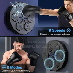 Boxing Taget