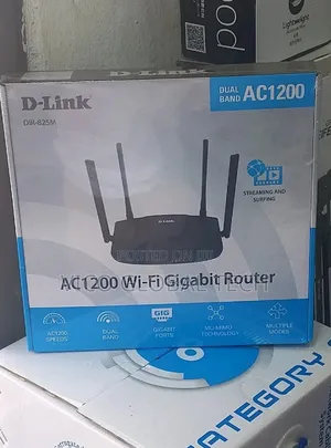 D-Link Dir-825m