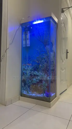 Tall Woman Aquarium With Fishes