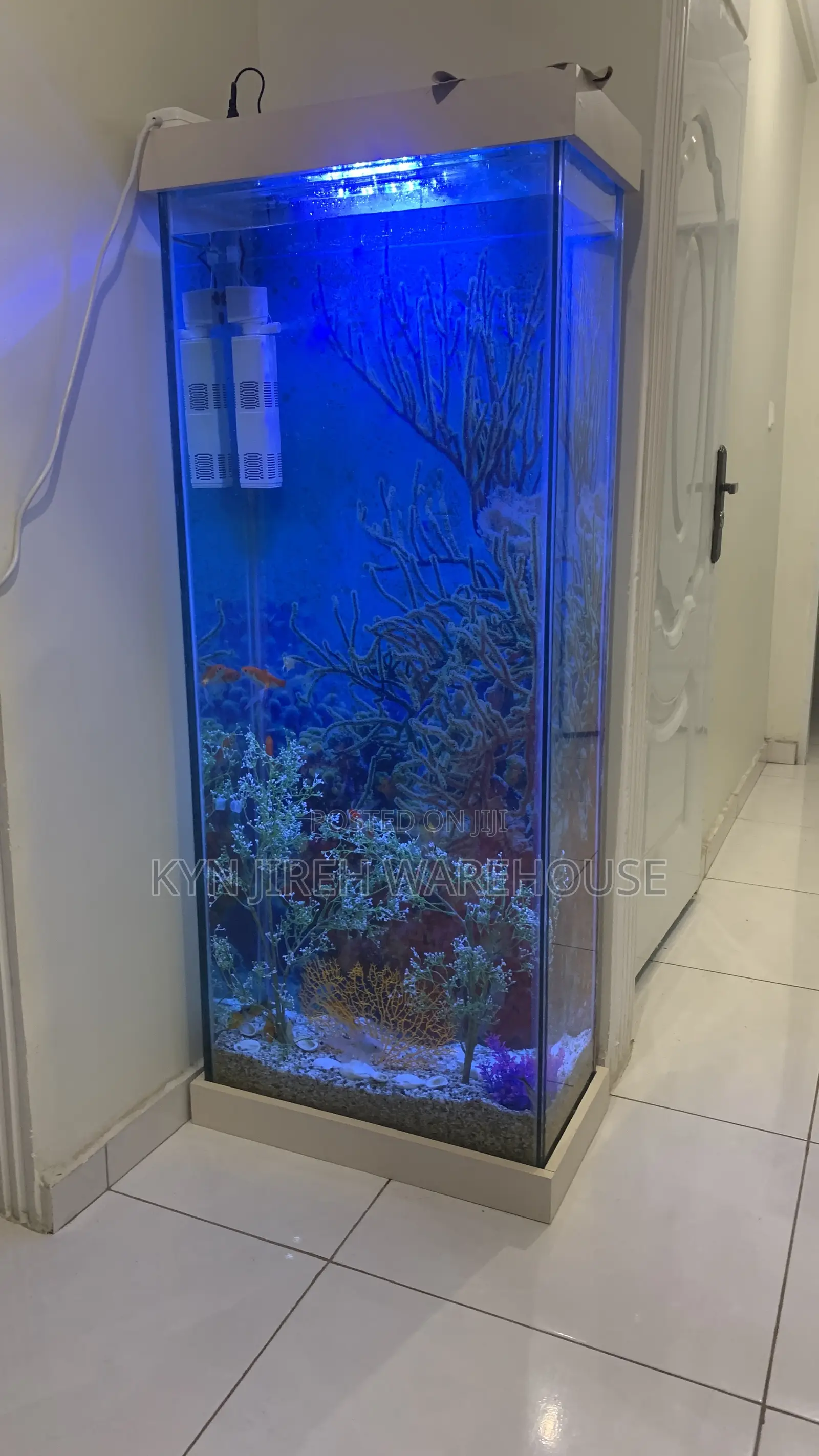 Tall Woman Aquarium With Fishes