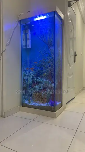 Tall Woman Aquarium With Fishes