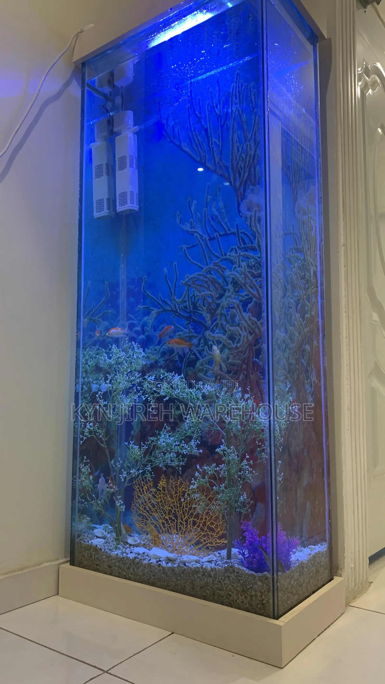 Tall Woman Aquarium With Fishes