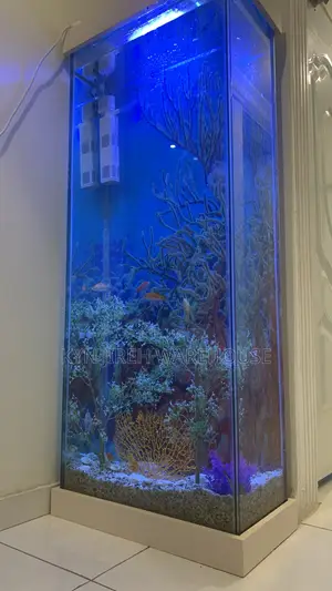 Tall Woman Aquarium With Fishes
