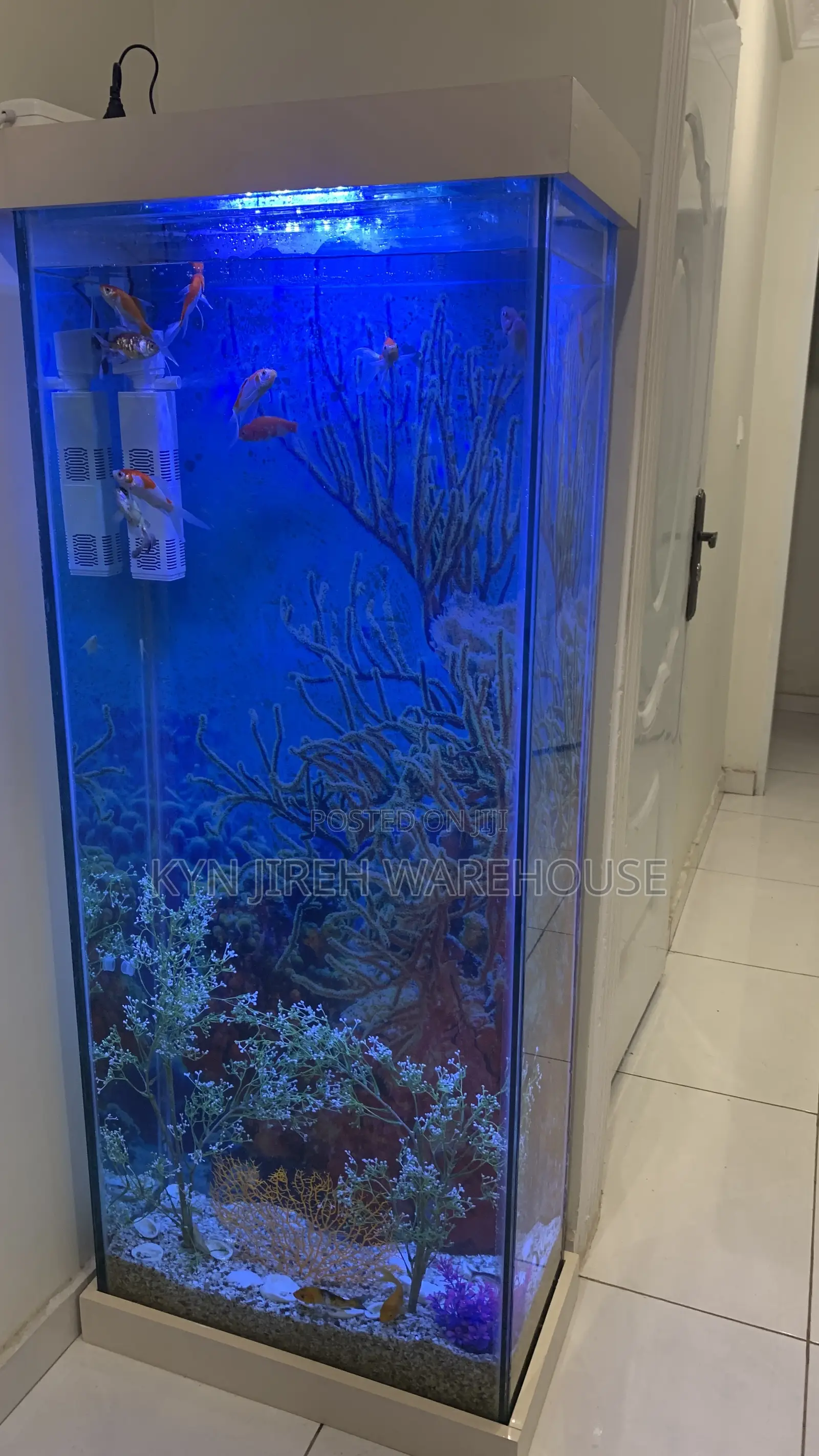 Tall Woman Aquarium With Fishes