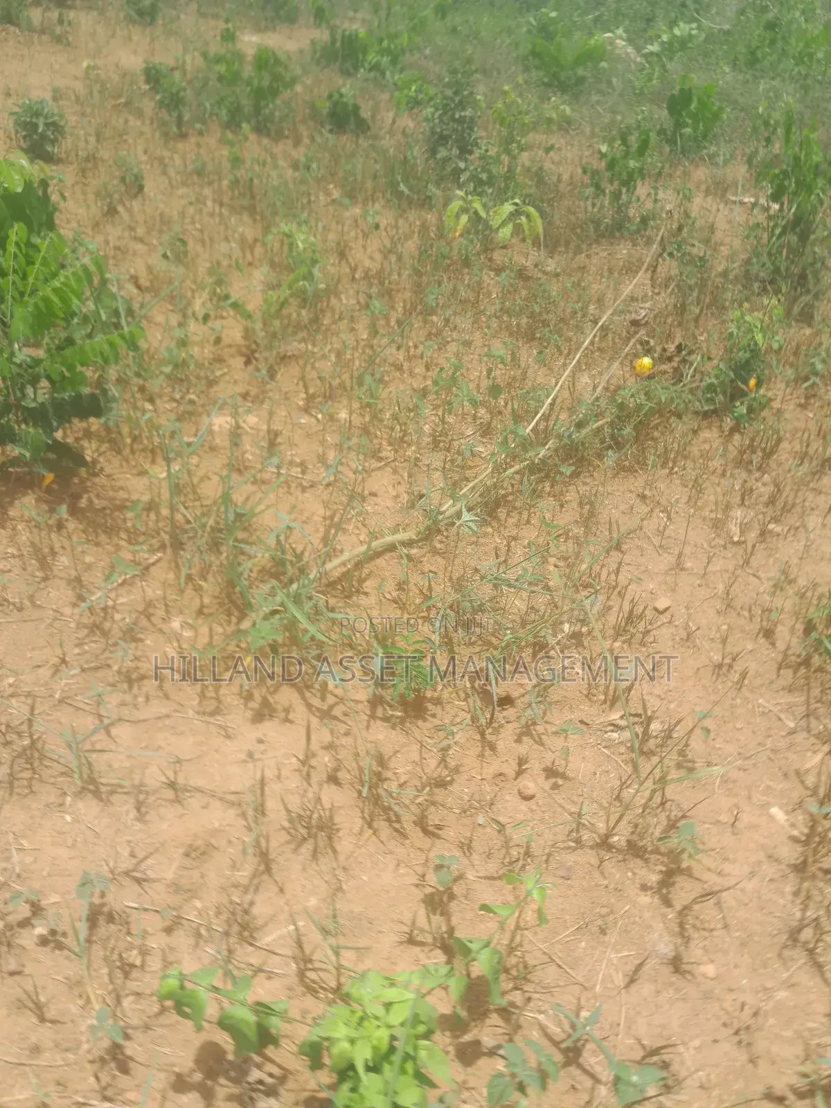 Plot of Land Forsale at Adietem-Mpatado