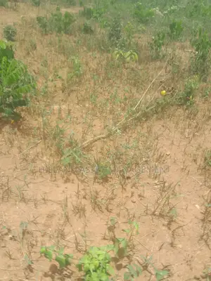Plot of Land Forsale at Adietem-Mpatado
