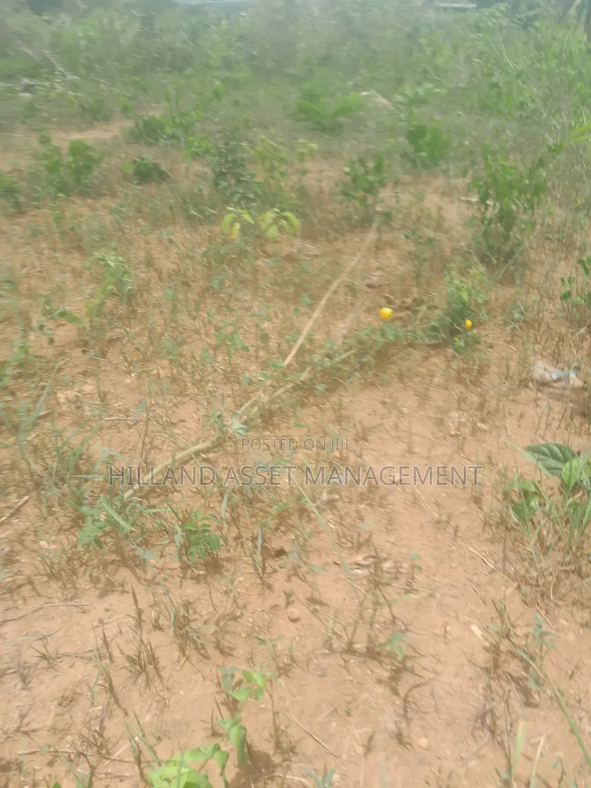 Plot of Land Forsale at Adietem-Mpatado