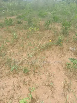 Plot of Land Forsale at Adietem-Mpatado